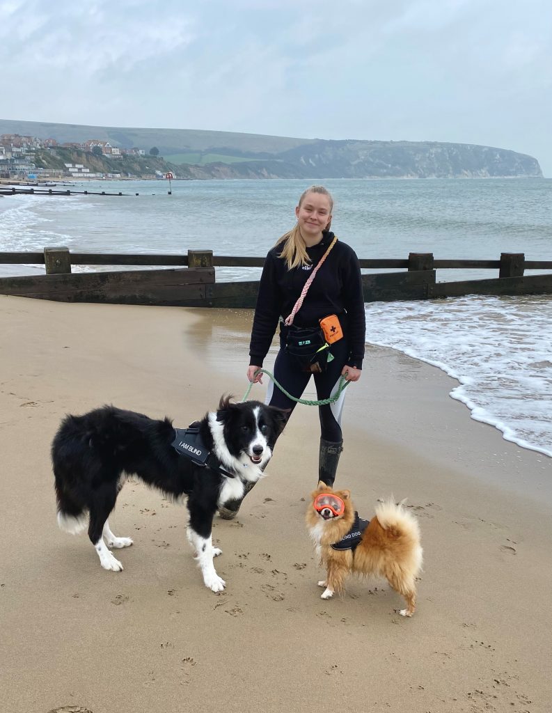 Dog trainer with 2 dogs on a beach in the UK