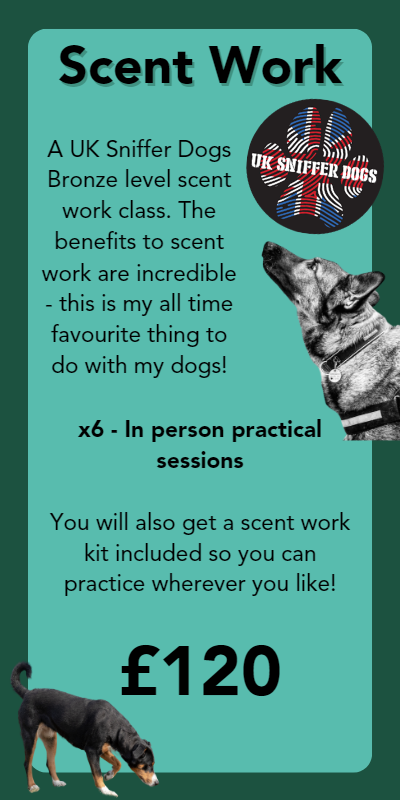 Scent Work Dog Training Classes Nottingham Kimberley Beeston A UK Sniffer Dogs Bronze level scent work class. The benefits to scent work are incredible - this is my all time favourite thing to do with my dogs! x6 - In person practical sessions You will also get a scent work kit included so you can practice wherever you like! £120
