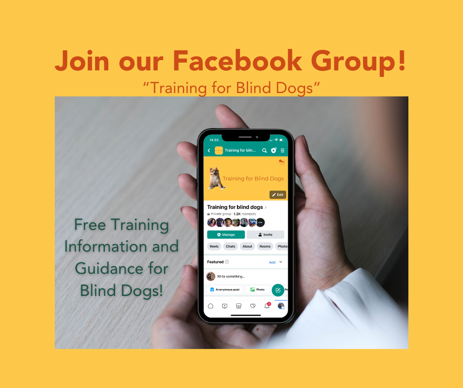 Blind dog group