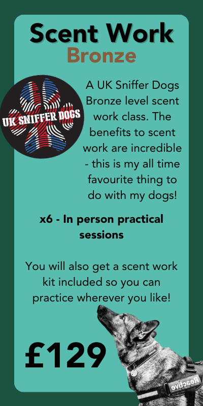 UK sniffer dog scent work bronze nottingham