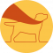 SM Logo Orange